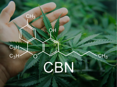 Что такое CBD и как это работает?